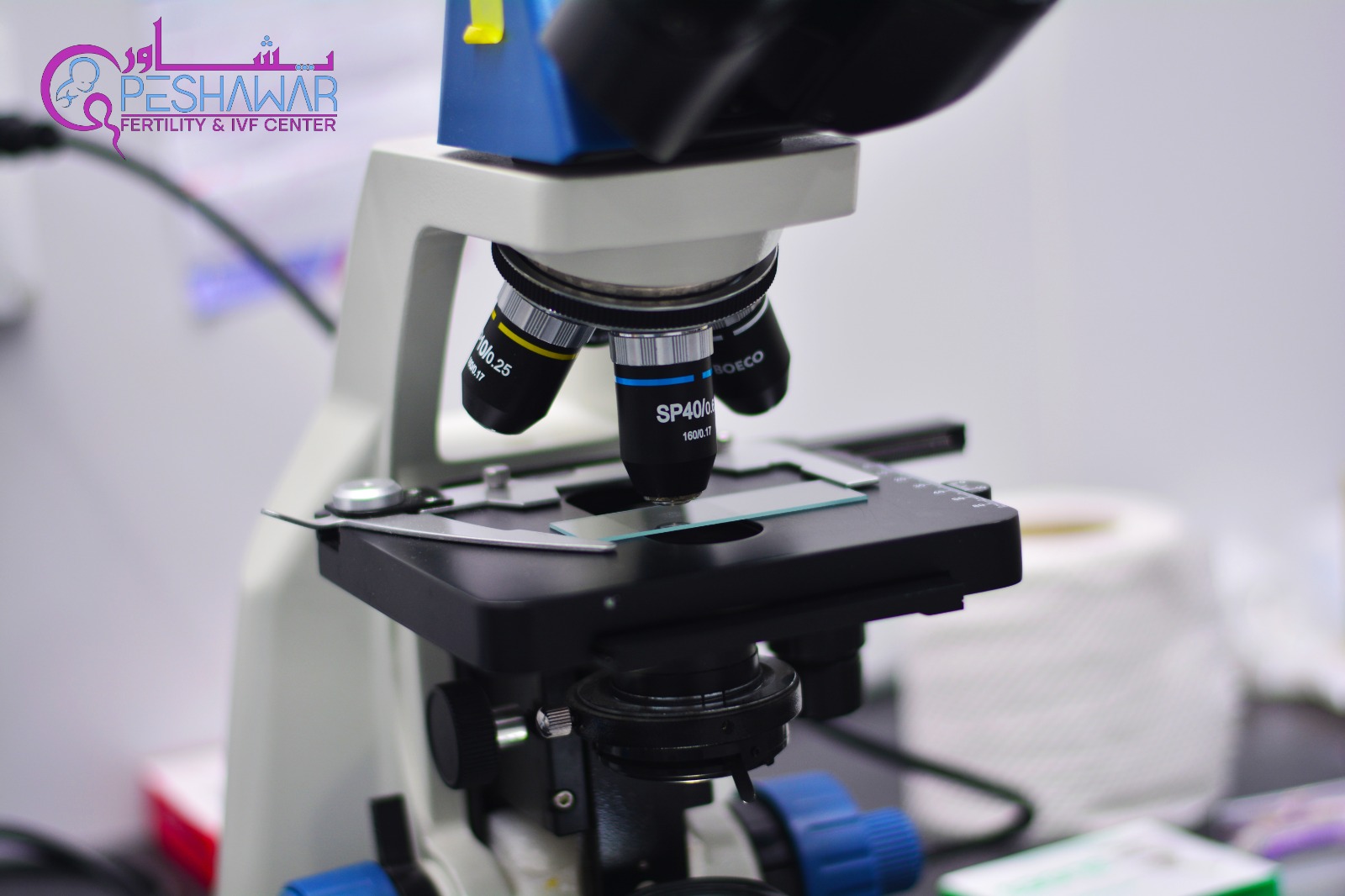 Fertility Tests
