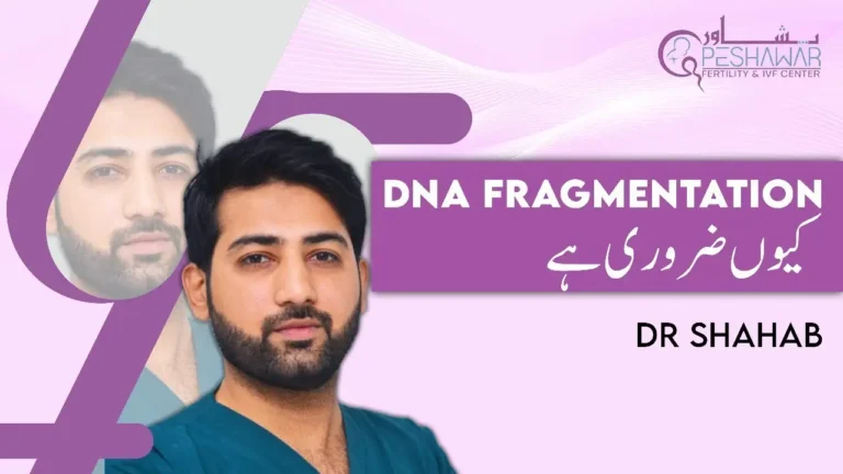 DNA Fragmentation by Dr Shahab | Embryologist | Peshawar Fertility & IVF Center